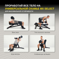 Скамья универсальная MX SELECT