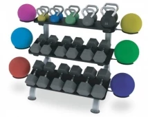 Стойка для гантелей TRUE FITNESS (PARAMOUNT) FS24