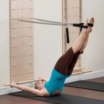 Настенный модуль для пилатес BALANCED BODY Springboard