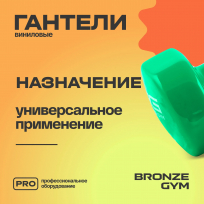 Гантели для аэробики виниловые BRONZE GYM FA-VD3 3 кг (пара)
