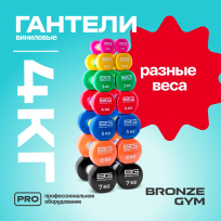 Гантели для аэробики виниловые BRONZE GYM FA-VD4 4 кг (пара)