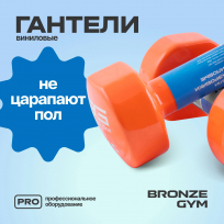 Гантели для аэробики виниловые BRONZE GYM FA-VD6 6 кг (пара)
