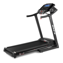 Беговая дорожка BH FITNESS Pioneer R2 TFT