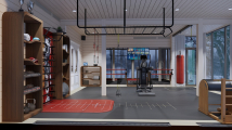 Функциональный рукоход для расширения диапазона тренировок DESIRE FITNESS Sky SR001