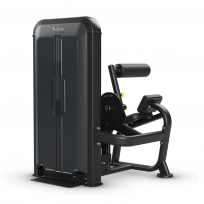 Разгибание спины VISION Back Extension V-KEY-SL-52