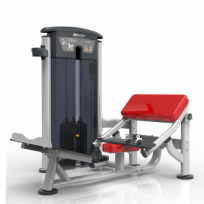 Профессиональный тренажер ягодичный мостик IMPULSE IT9538