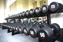 Набор обрезиненных гантелей AEROFIT AFDB2,5-25 