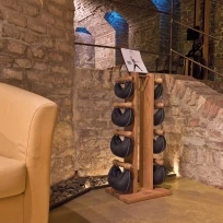 Набор гантелей с подставкой NOHrD Swing Turm 13200 (Ясень)